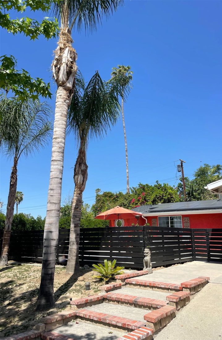 A dark horizontal slat fence across a front yard with tall palm trees and brick steps